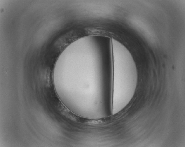 X0000065970525200603101400