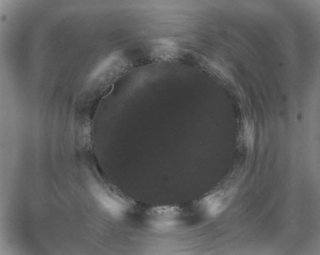 X0000065970526200603101400