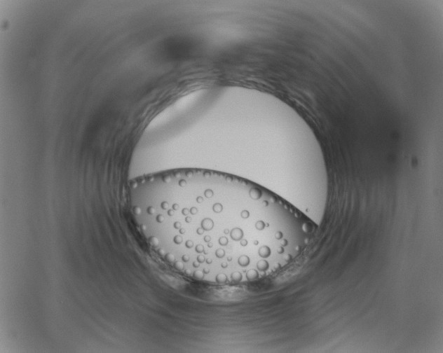 X0000065970527200603101400