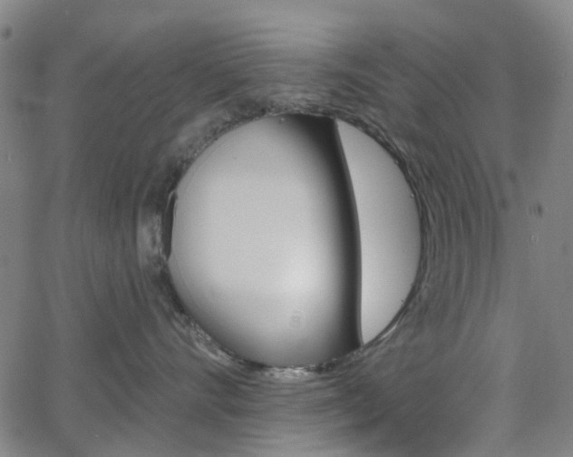 X0000065970528200603101400