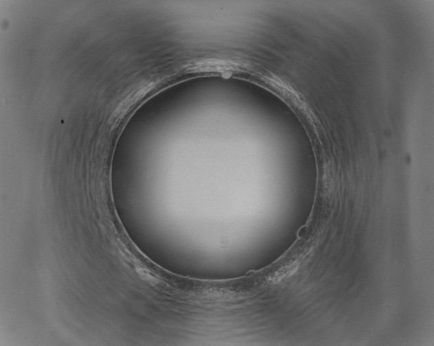 X0000065970529200603101359