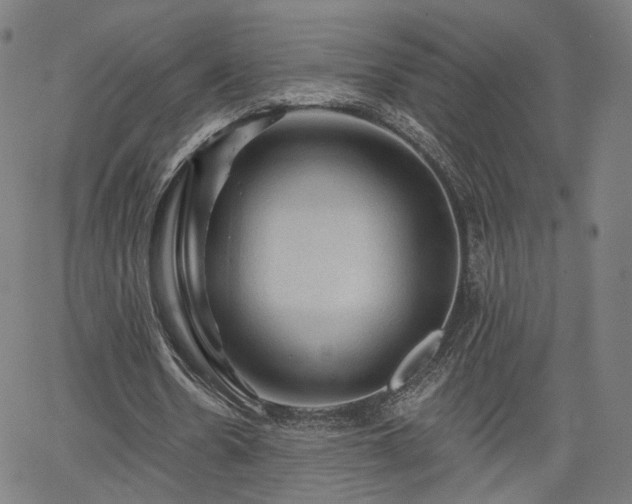 X0000065970530200603101359