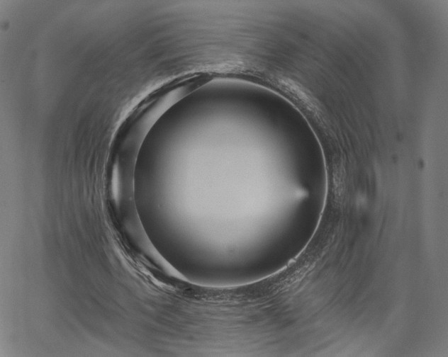 X0000065970532200603101359