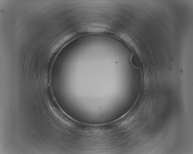 X0000065970533200603101359