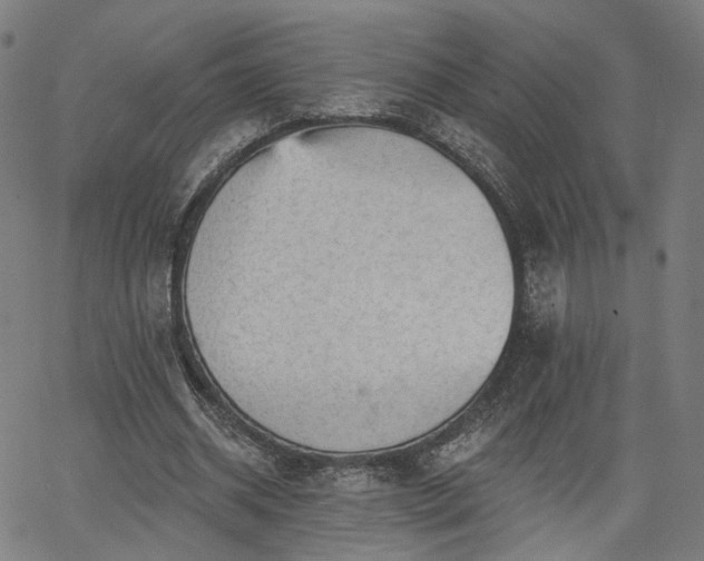 X0000065970534200603101359