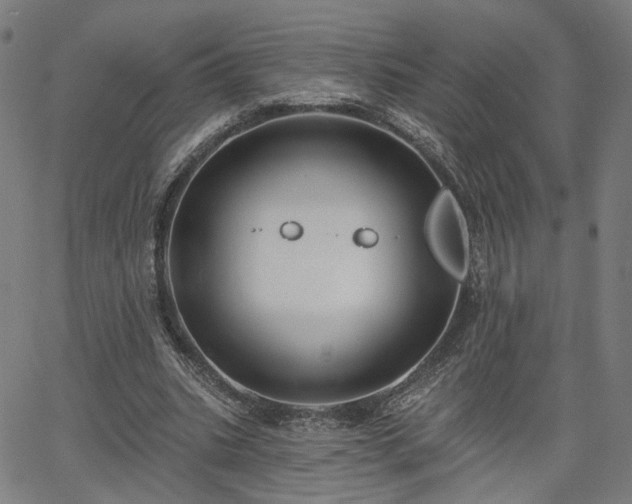 X0000065970535200603101359