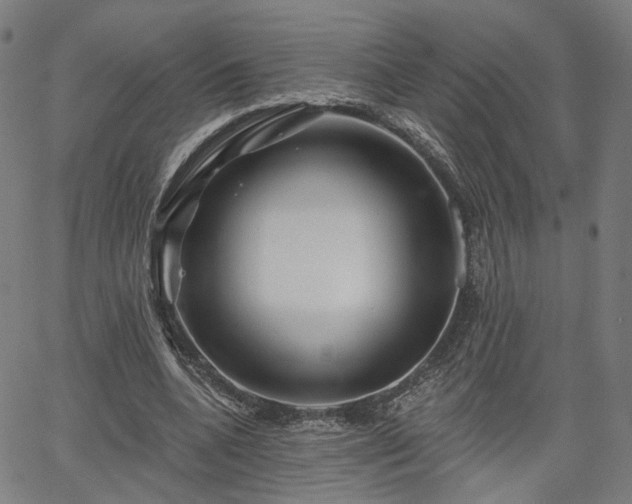 X0000065970536200603101359