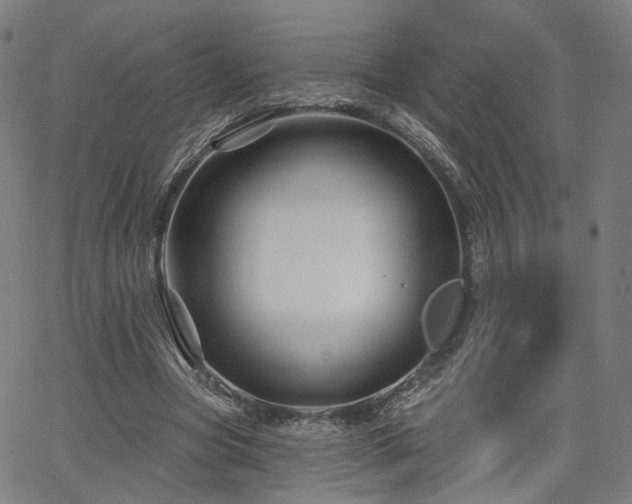 X0000065970537200603101359