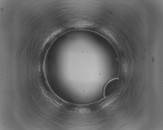 X0000065970539200603101359