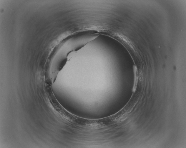 X0000065970540200603101400