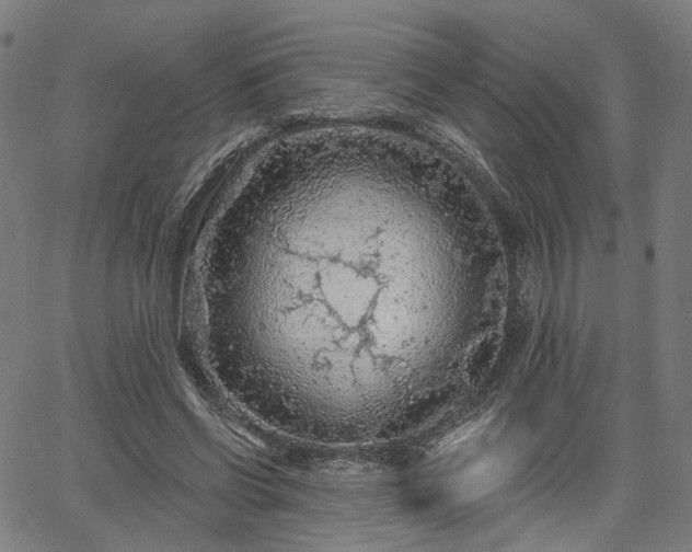 X0000065970542200603101400