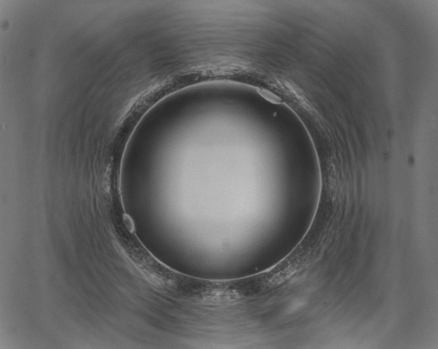 X0000065970543200603101400