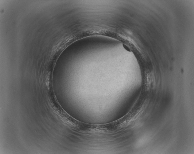 X0000065970545200603101400