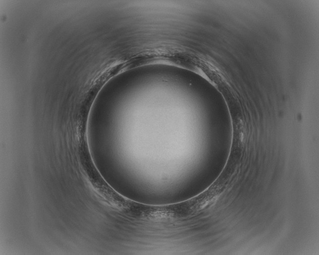 X0000065970546200603101400