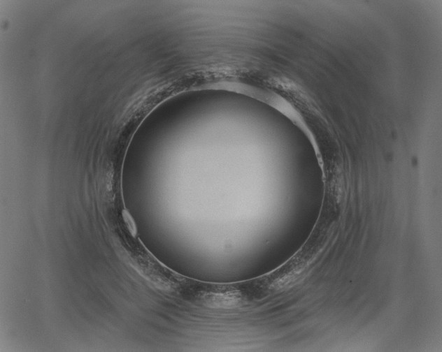 X0000065970548200603101400