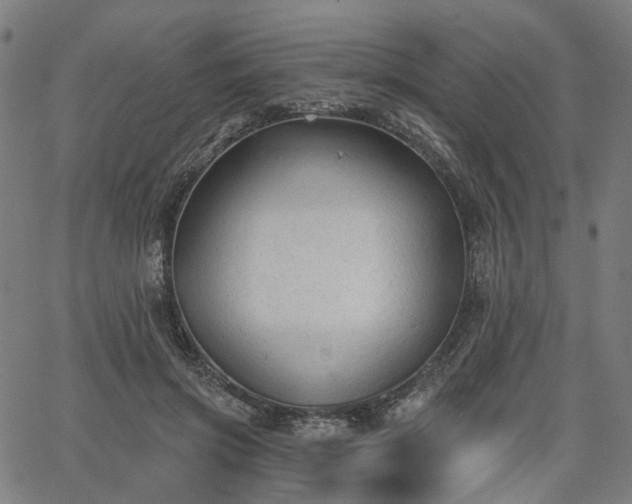 X0000065970549200603101400