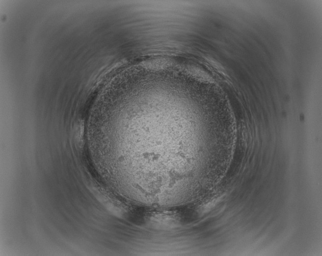 X0000065970550200603101400