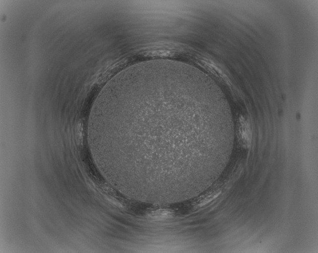 X0000065970551200603101400