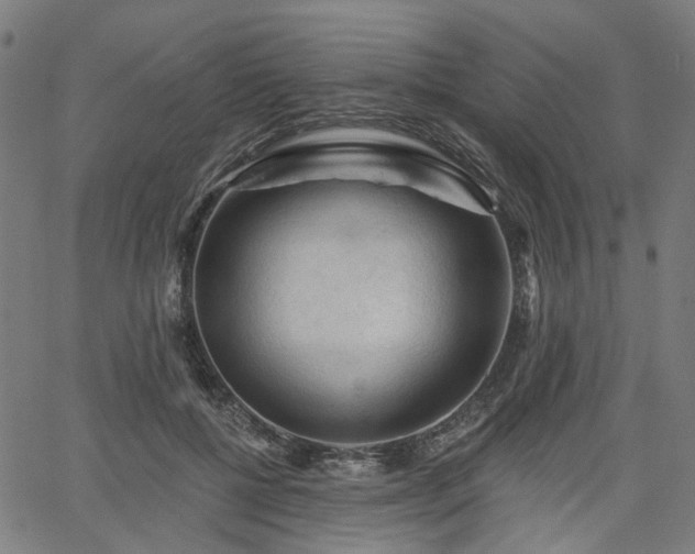 X0000065970552200603101400