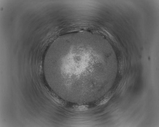 X0000065970553200603101400