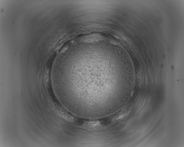 X0000065970554200603101400