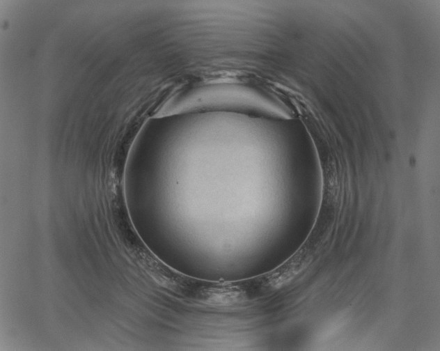 X0000065970555200603101400