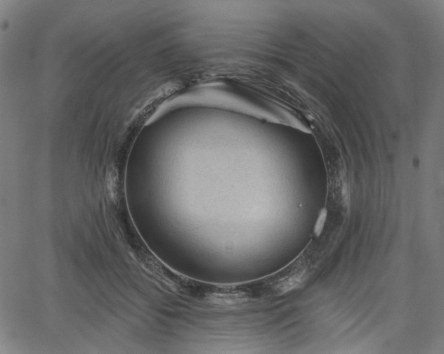 X0000065970556200603101400