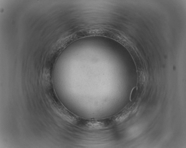 X0000065970557200603101400