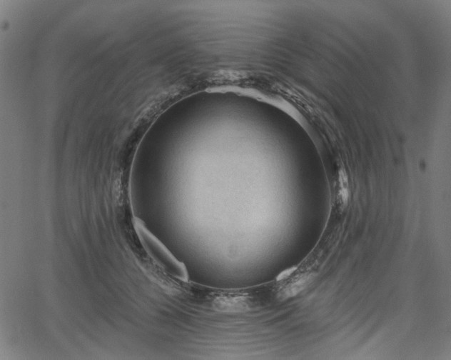 X0000065970560200603101400