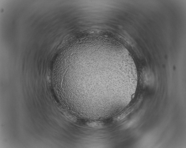 X0000065970561200603101400