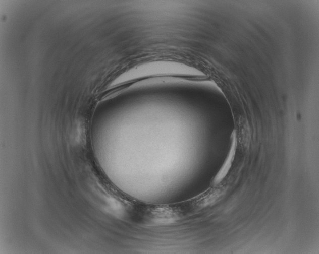 X0000065970562200603101400