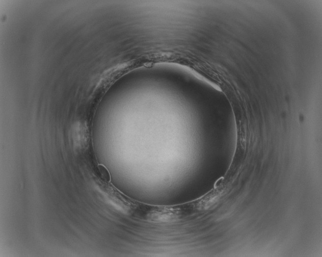 X0000065970563200603101400