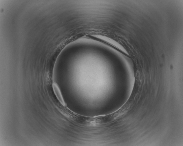 X0000065970564200603101400