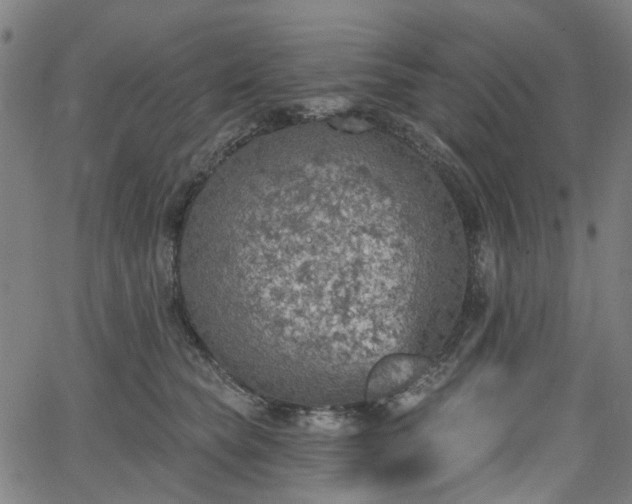 X0000065970565200603101400