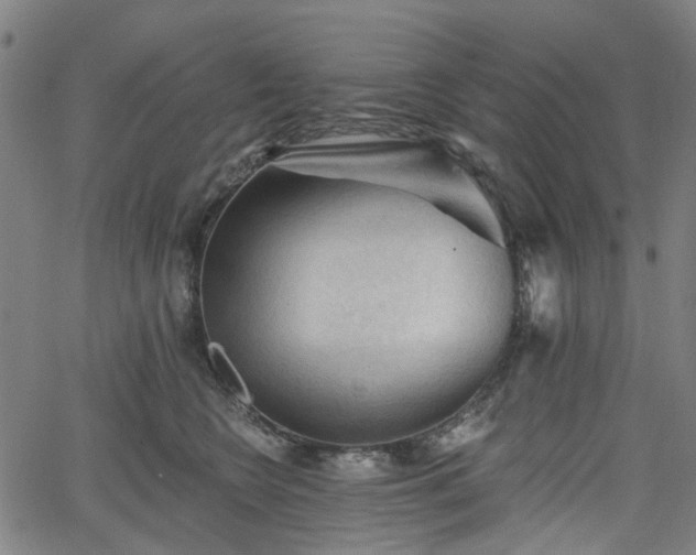 X0000065970566200603101400