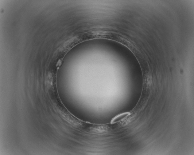 X0000065970567200603101400