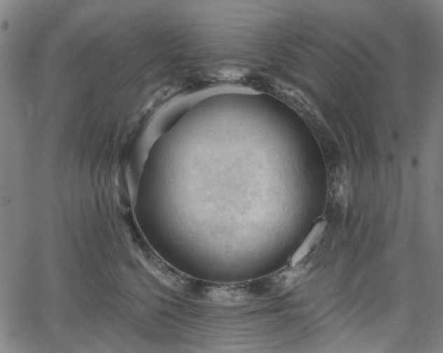 X0000065970568200603101400