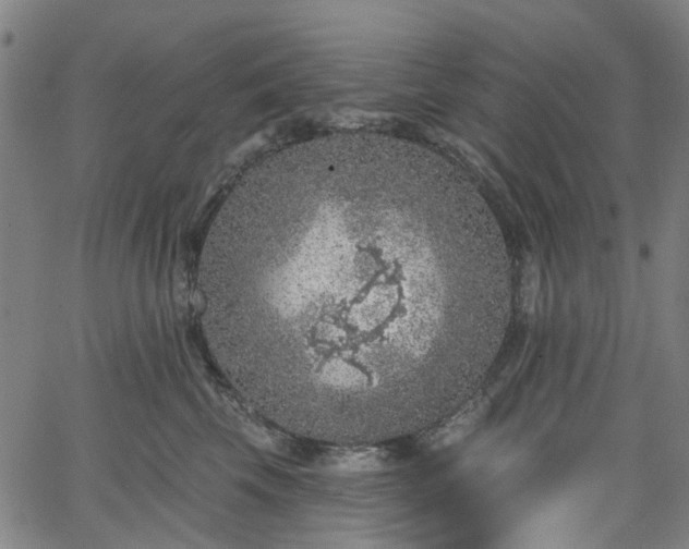 X0000065970569200603101400