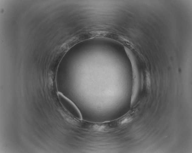 X0000065970570200603101400