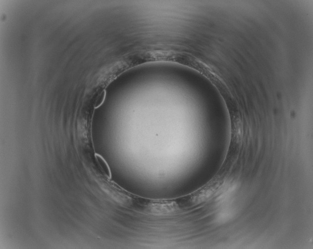 X0000065970571200603101400