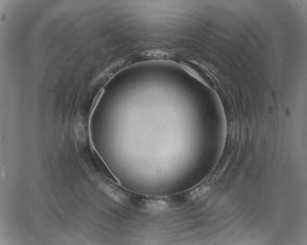 X0000065970572200603101400