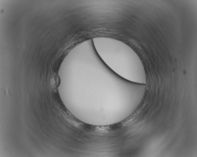 X0000065970573200603101400