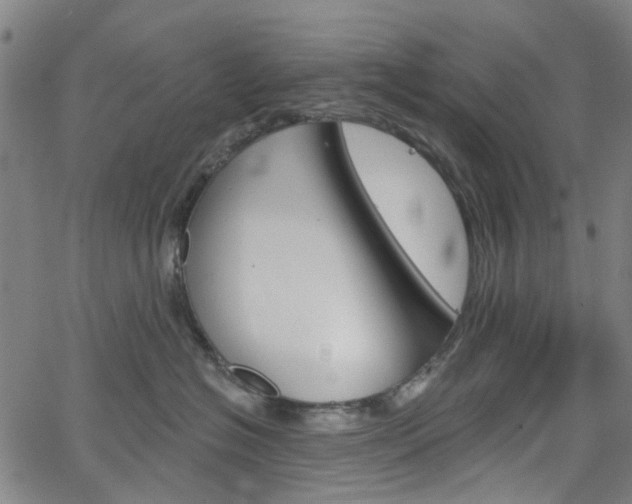 X0000065970574200603101400