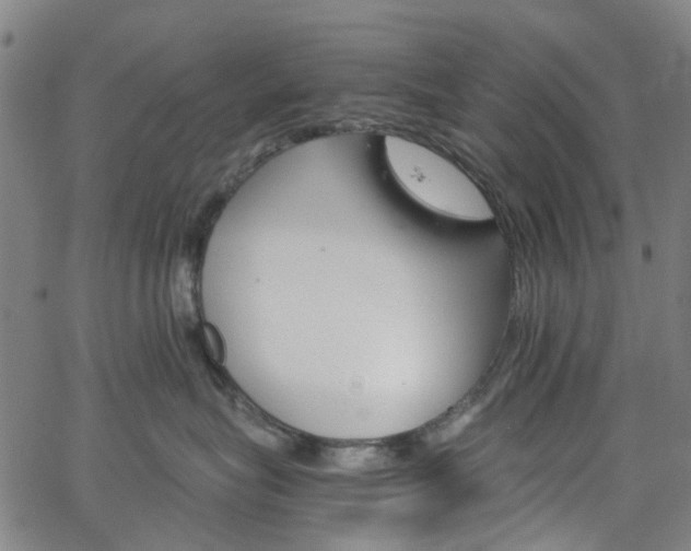 X0000065970575200603101400