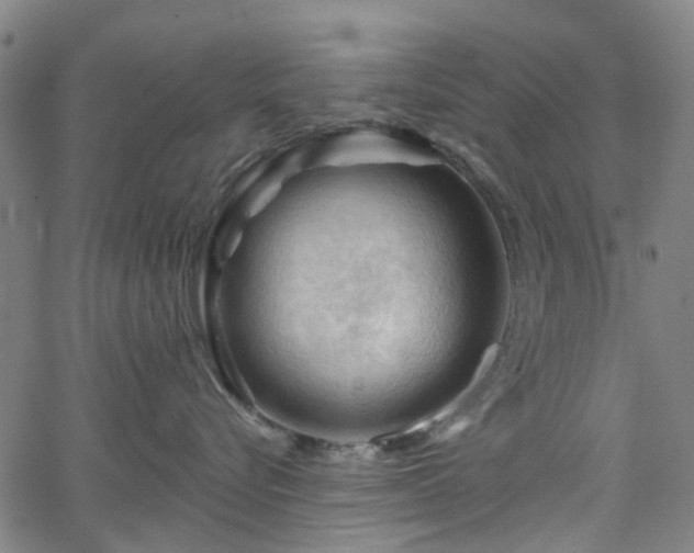 X0000065970576200603101400