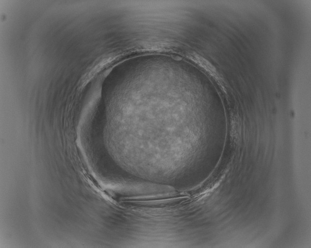 X0000065970577200603101359