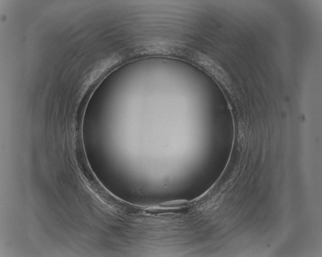 X0000065970578200603101359