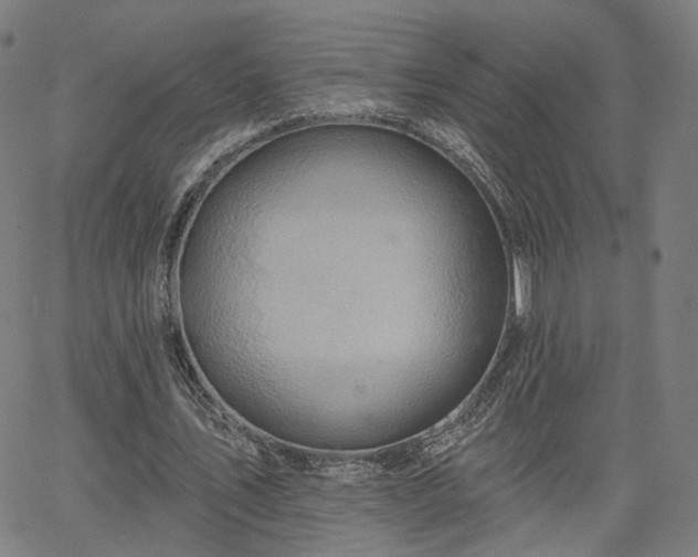 X0000065970579200603101359