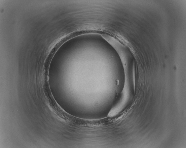 X0000065970580200603101359