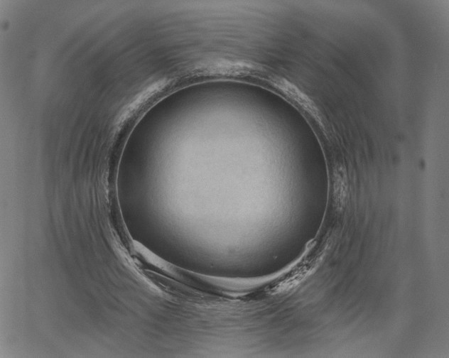 X0000065970581200603101359